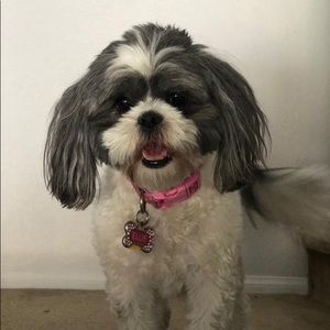 Meet your Posher, Cindy